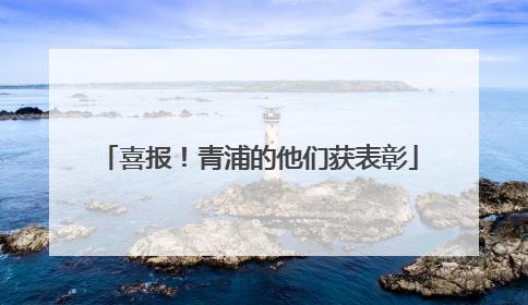 喜报！青浦的他们获表彰